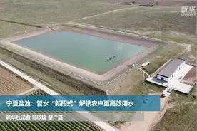 宁夏盐池：管水“新招式”解锁农户更高效用水视频封面