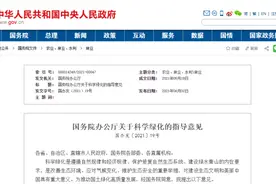 国办：严禁开山造地、填湖填海绿化，切忌行政命令瞎指挥图片