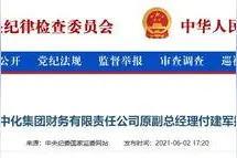 中化集团财务有限责任公司原副总经理付建军接受监察调查图片