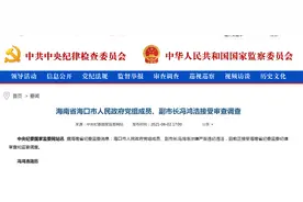 副市长落马一年多后，另一副市长被查图片