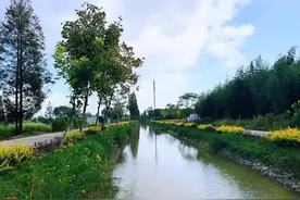 沪郊这个名为“桃源”的村落，是如何承接“花博效应”发展美丽产业的？图片