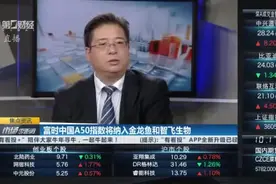 富时中国A50新纳入、剔除各2只A股 6月18日收盘后生效｜焦点资讯视频封面
