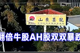 翻倍牛股山东墨龙AH股双双暴跌，发生了什么？丨一只热股视频封面