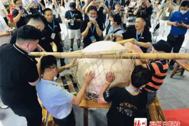 世界最大包心鱼丸亮相福州！鱼丸界“奥斯卡”盛宴来了图片