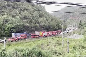 海报直击 | 云南“北迁”野象疑似进入昆明晋宁区一深山 当地人听到清晰大象叫声视频封面