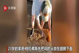 笑惨了！美国一男子展现哄鸡睡觉绝技：几秒入睡图片