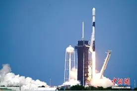 遨“鱿”太空：NASA将128只小鱿鱼送往国际空间站图片
