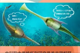 4.1亿年前的小鱼，长成了海王的三叉戟……图片