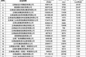 人均年薪最高25万元！云南省属国企职工工资信息披露图片