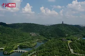 【网络媒体革命老区行】打卡湖南湘潭的绿色名片：盘龙大观园视频封面