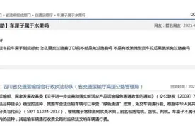 不能走绿色通道 车厘子到底是不是樱桃？图片