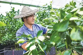 田教授种“田”，为什么这么甜图片