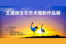 王建国生态艺术摄影作品展将于2021年6月5日至7日在陕西省图书馆展览厅开展图片