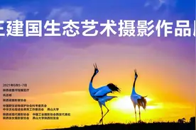 王建国生态艺术摄影作品展将于2021年6月5日至7日在陕西省图书馆展览厅开展图片