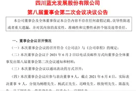 杨铿辞任蓝光发展董事长 其子杨武正继任图片