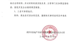 浙江湖州严控投机炒房：公证摇号销售的新建住房项目不得更名图片