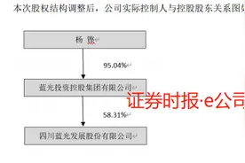 蓝光发展实控人杨铿辞董事长职务 其子杨武正临危接任“新掌门”图片