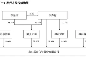 “95后”分析师有数亿身家？故事要从一则招股书说起图片