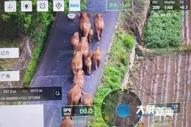 “豫”和大象有啥关系？几千年前河南就是大象的老家图片