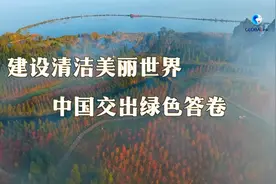 全球连线｜建设清洁美丽世界，中国交出绿色答卷视频封面
