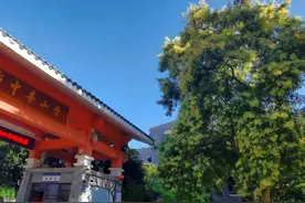 繁花似锦，桂林人快去打卡图片