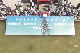 徐州：1.5万余尾花鲢投放云龙湖图片