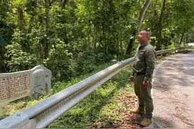 记者实地探访“断鼻”象群家族栖息地 了解人与象的故事图片