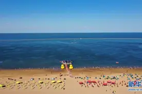 渤海治污+岸线治理 来这里也能“赶海拾贝”图片