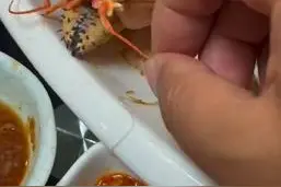 点的帝王蟹被掉包？出海小船海鲜已退钱图片