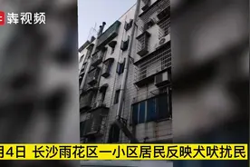 “网红”犬舍扰民被查，圈养环境触目惊心图片