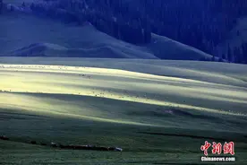 新疆伊犁雨后美景 阳光散照如丝带“飘浮”草原之上图片