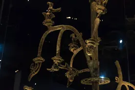 发现｜夏云：三星堆青铜神树原型是珙桐？图片