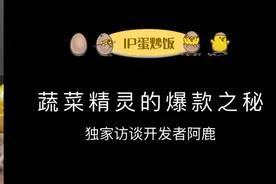 独家深度访谈：蔬菜精灵的爆款之秘图片