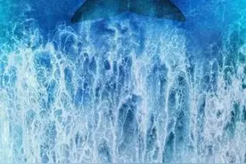 世界海洋日｜用这些纪录片拨动孩子保护海洋的心图片