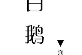 【群岛·小小说】白鹅图片