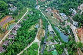 融入大湾区：大余生态产业的“引进来与走出去”图片
