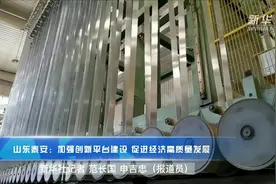 山东泰安：加强创新平台建设 促进经济高质量发展视频封面