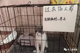 岳云鹏高考祝福翻车！哈哈哈这也太惨了吧图片