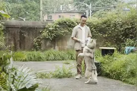 “内卷”的反义词叫景德镇图片