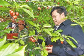 “挂职不是走过场，留人留心更要办实事”图片