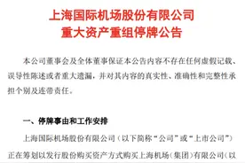 被“公募一哥”张坤放弃的上海机场出手了！欲注入虹桥机场等资产图片