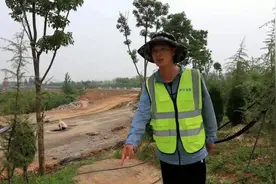3米巨蟒“参观”工地吓到工人，下一秒怂了图片
