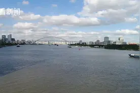 黄浦江上15座跨江大桥未来能漫步吗？图片