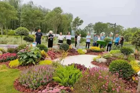 带你先睹为快！郑州再添宝藏打卡地 55个小清新花镜等你解锁图片