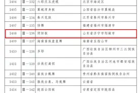 全省第一！济宁又有2项非遗项目入选国家级名录图片
