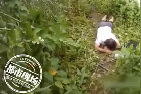 男子钓鱼碰到高压线，被电倒地一动不动图片