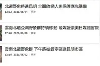 云南“北漂象”红到岛内，媒体忘掉蓝绿，台湾网友看到“不一样”的真实大陆图片