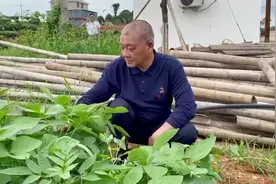 身边的榜样丨江平：残疾人“变身”致富带头人图片