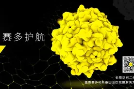 基因她力量 | 吴凤岚：创新的使命召唤：从研发、资本到运营图片