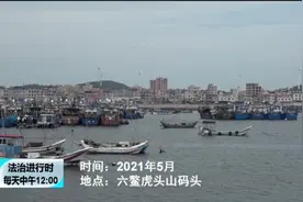 奇案：犯罪团伙招募潜水员，专门盗捞海底文物图片